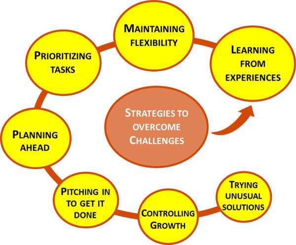 Figure 3. Strategies to overcome challenges.